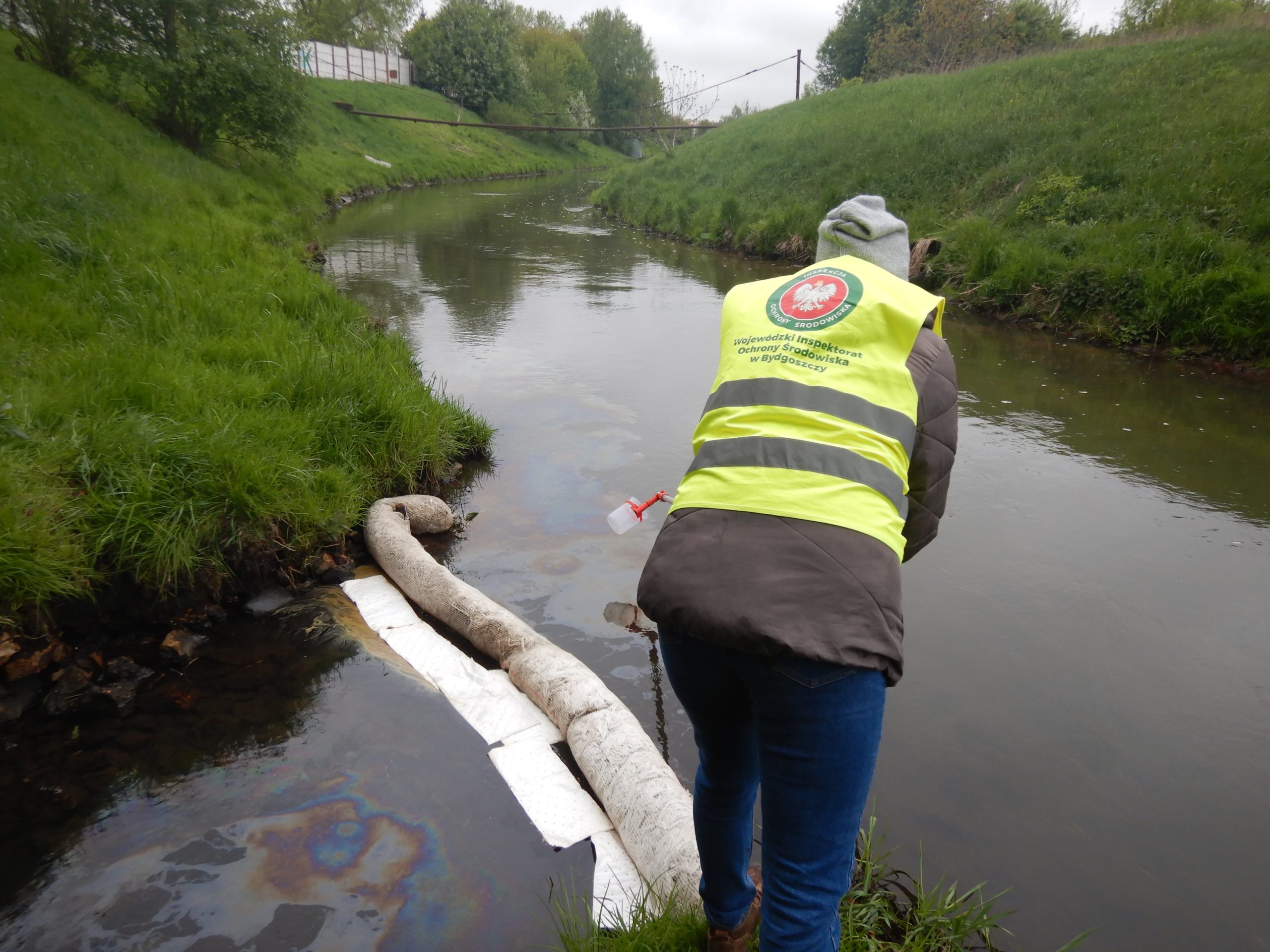 Zanieczyszczenie kanału Zuzanka we Włocławku