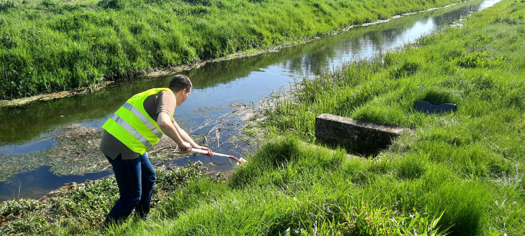 Zanieczyszczenie Białej Strugi w Szubinie
